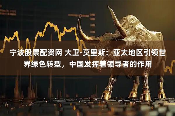 宁波股票配资网 大卫·莫里斯：亚太地区引领世界绿色转型，中国发挥着领导者的作用