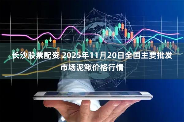 长沙股票配资 2025年11月20日全国主要批发市场泥鳅价格行情