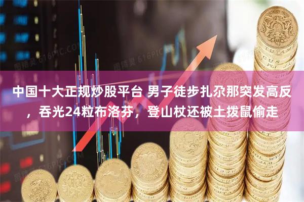 中国十大正规炒股平台 男子徒步扎尕那突发高反，吞光24粒布洛芬，登山杖还被土拨鼠偷走